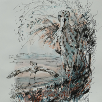 Curlew